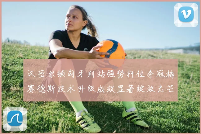 汉密尔顿匈牙利站强势杆位夺冠梅赛德斯技术升级成效显著绽放光芒